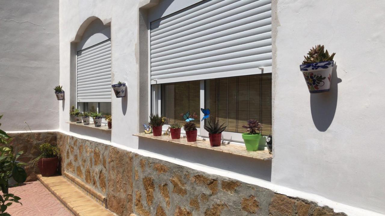 Villa Irene Gandia Exterior photo