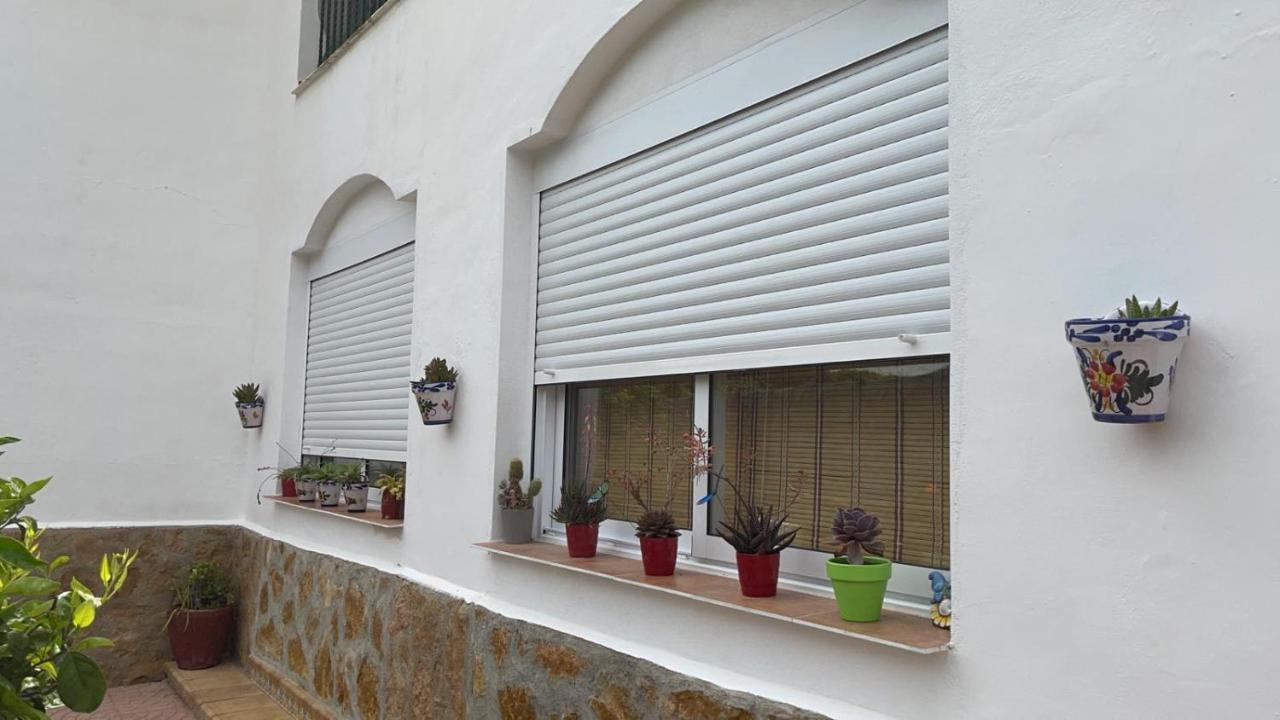 Villa Irene Gandia Exterior photo